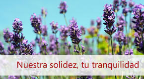 Inmobiliaria Osuna