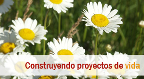 Inmobiliaria Osuna
