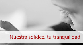 Inmobiliaria Osuna