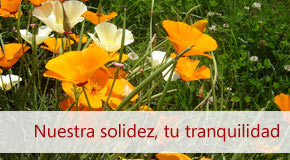 Inmobiliaria Osuna
