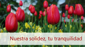 Inmobiliaria Osuna