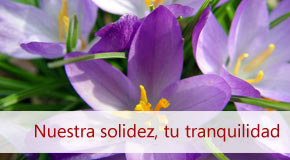 Inmobiliaria Osuna