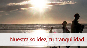 Inmobiliaria Osuna