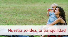 Inmobiliaria Osuna