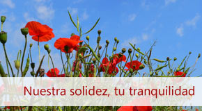 Inmobiliaria Osuna